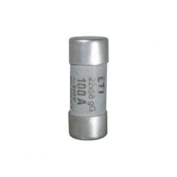 Fuse 10A 22x58