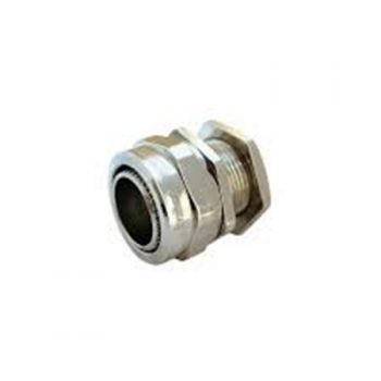 Gland BW 0 CCG 052000