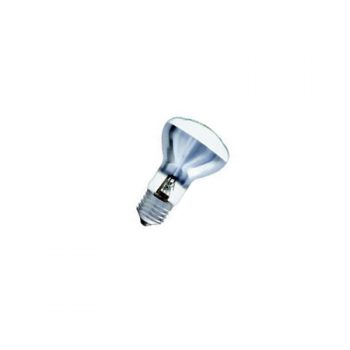 Globe Spot R63 Std 60w  E27 CL Var