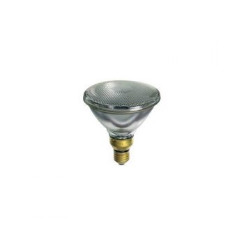 Globe Spot PAR38 Std 100w E27 Refl Green