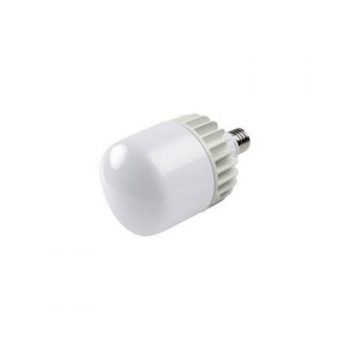 Globe Std LED 50w E40 DL WD