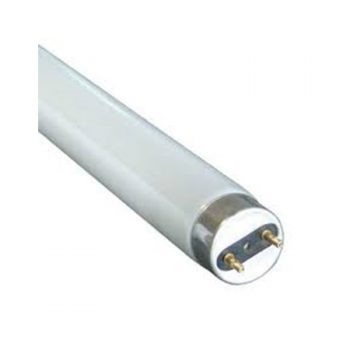 Globe T8 Flo 1.5ft 15w CW