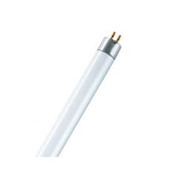 Globe T5 Flo 0.8ft 6w CW